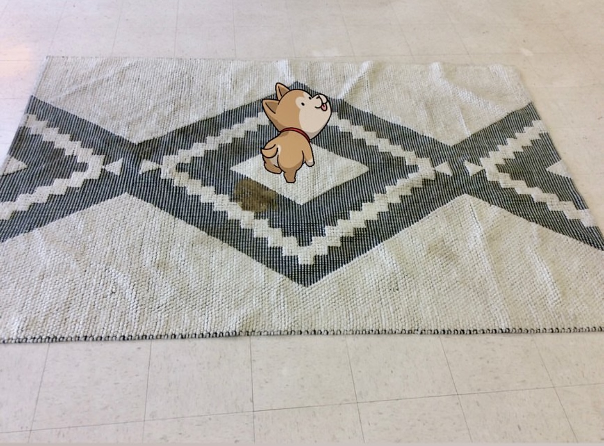 ED46B83F-E8A5-4282-A359-7ED391616BF4